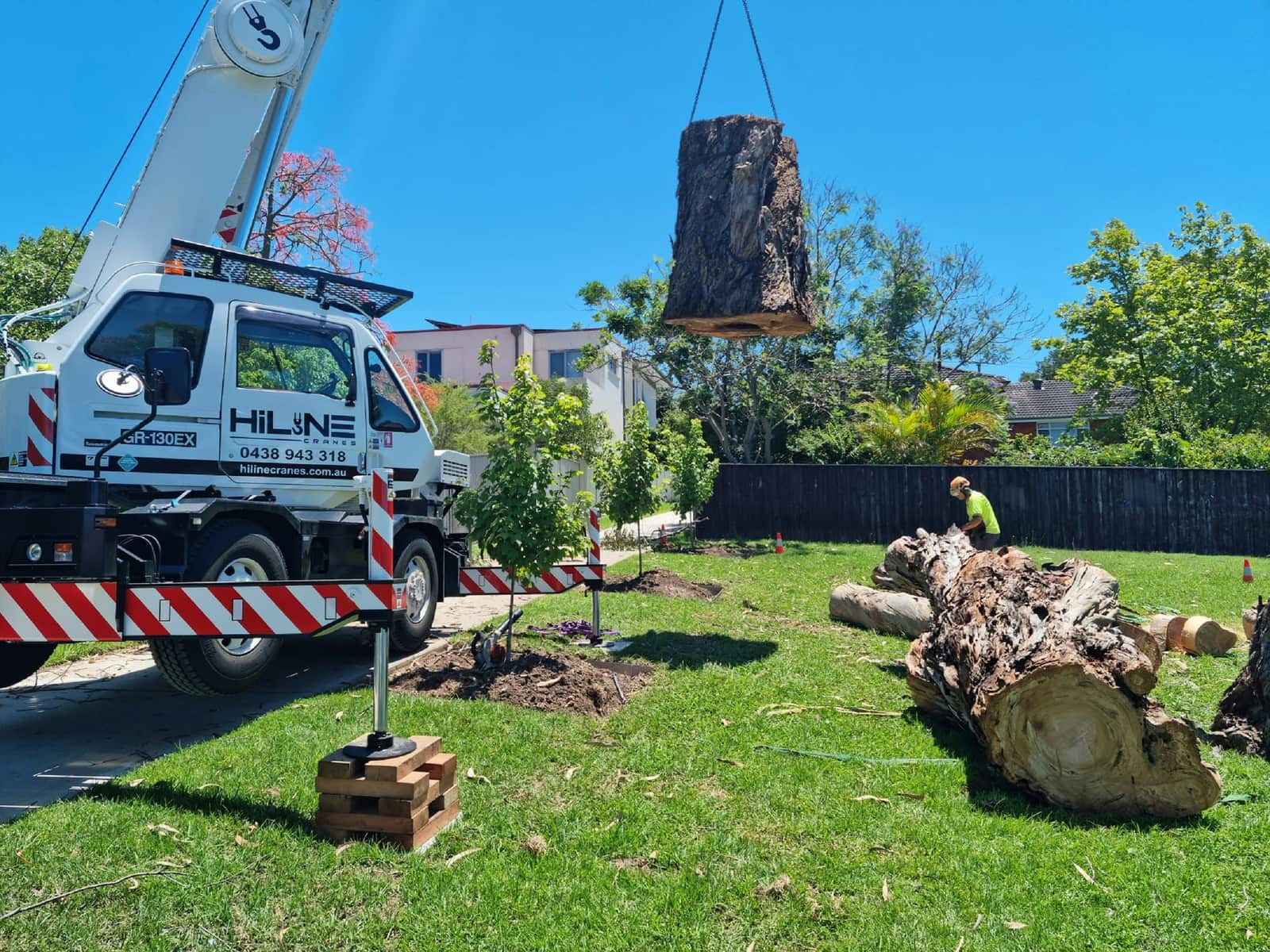 Tree crew at work in Columbia