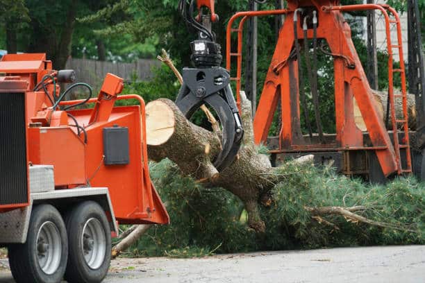 Debris Hauling