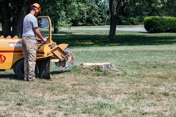 Land Clearing
